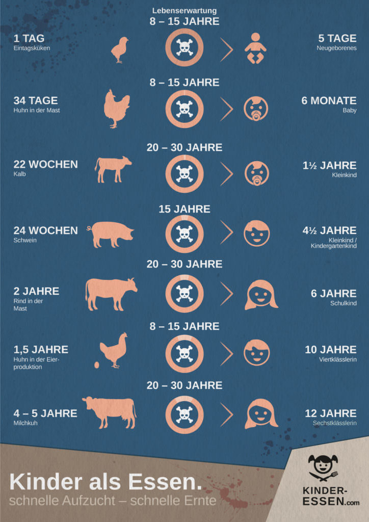 Infografik: Schlachtalter - Tiere sind kinder